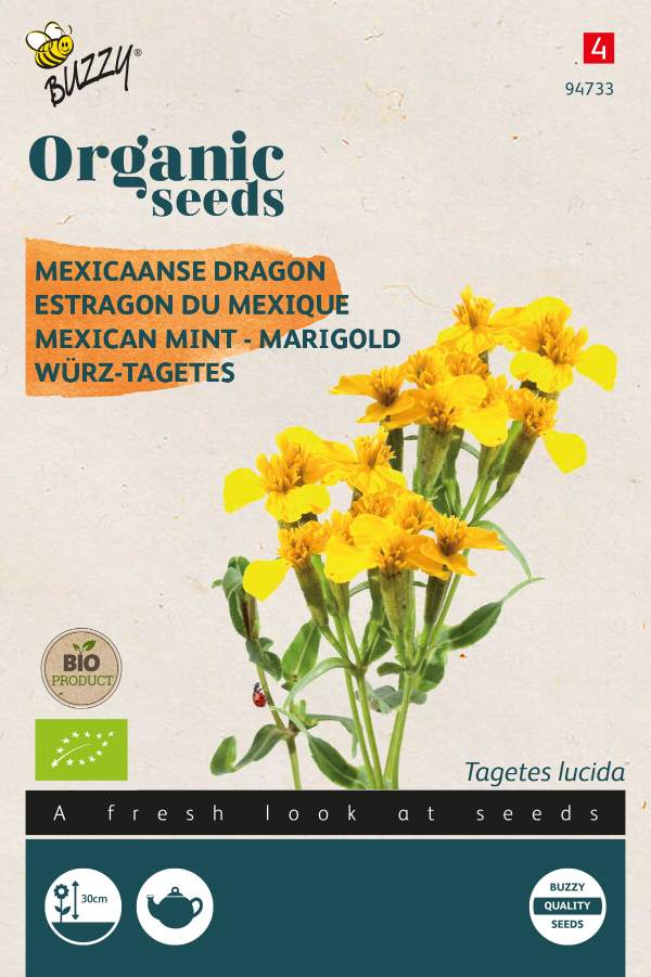 Tagetes Lucida, Mexican Mint - BIO
