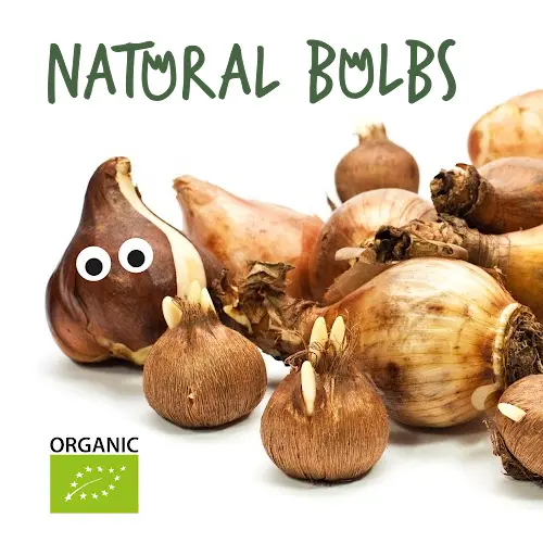 Natural Bulbs | Passion för en hälsosam natur