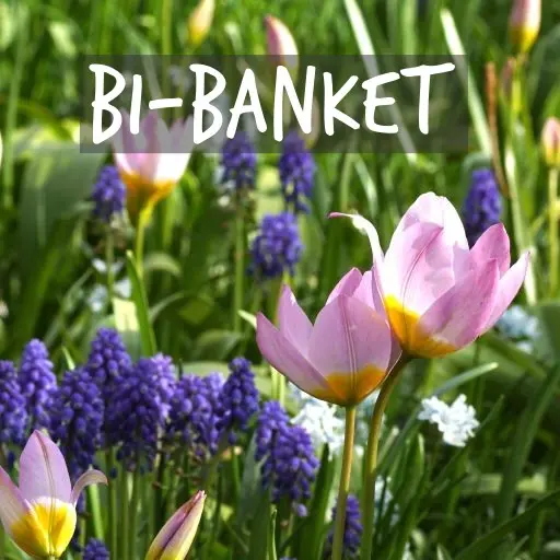 Natural Bulbs | Binas favoriter