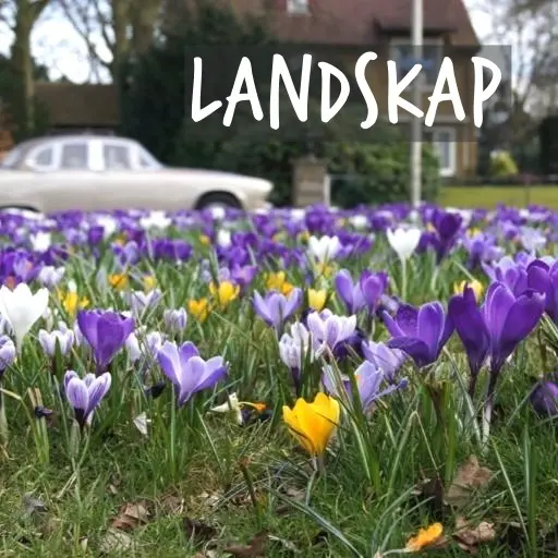 Natural Bulbs | Landskapsdesign