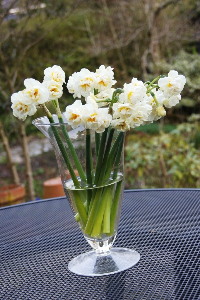 Narcissus Bridal Crown - BIO-1