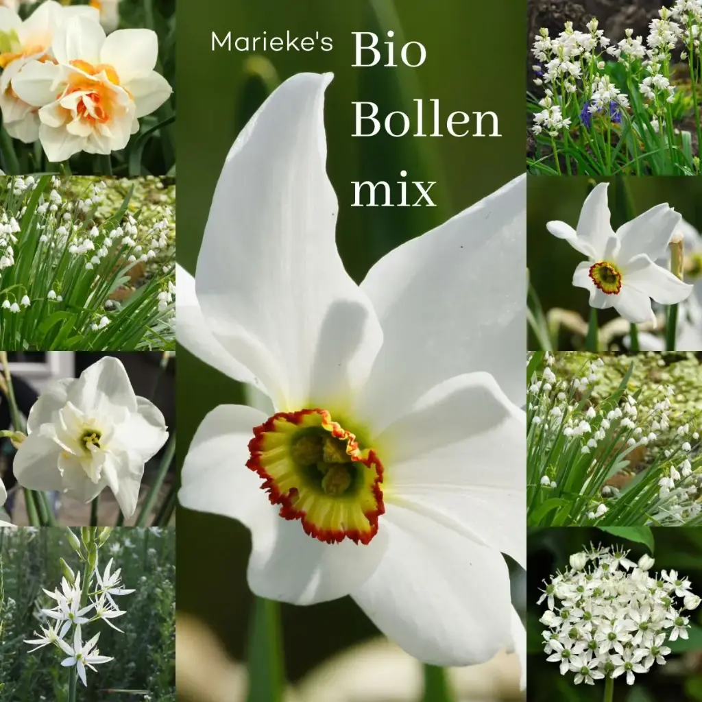 Marieke's Trädgård 2 m2 - BIO 