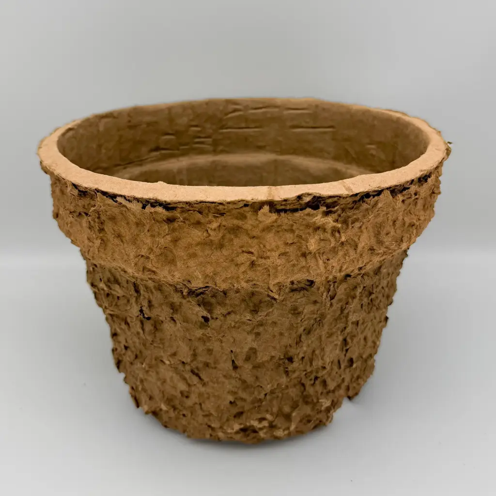 Natural Collection plantkruka Carline 5L