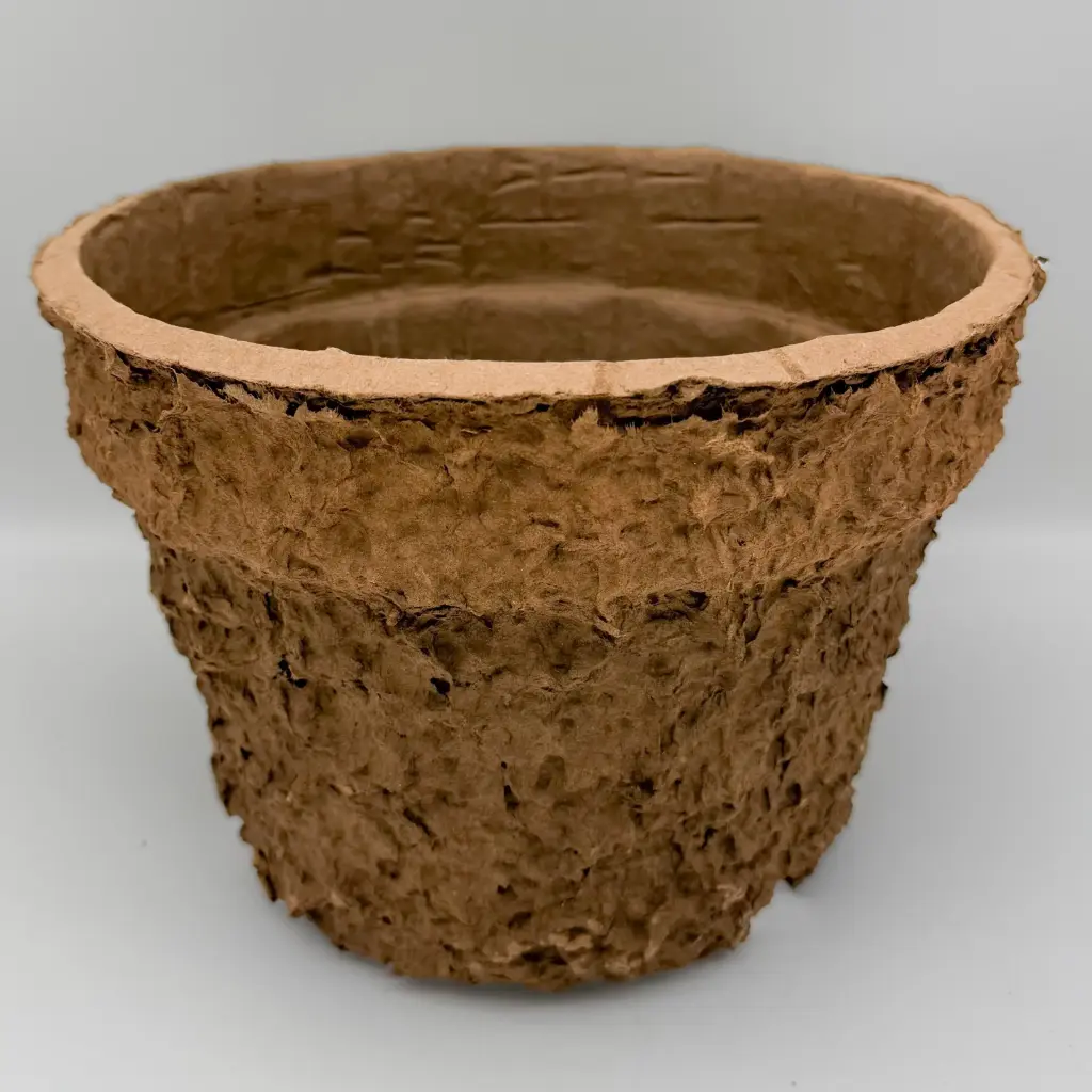 Natural Collection plantkruka Carly  7,5L