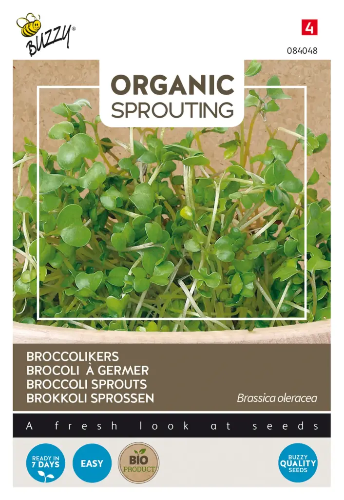 Broccolikrasse - Groddar - BIO