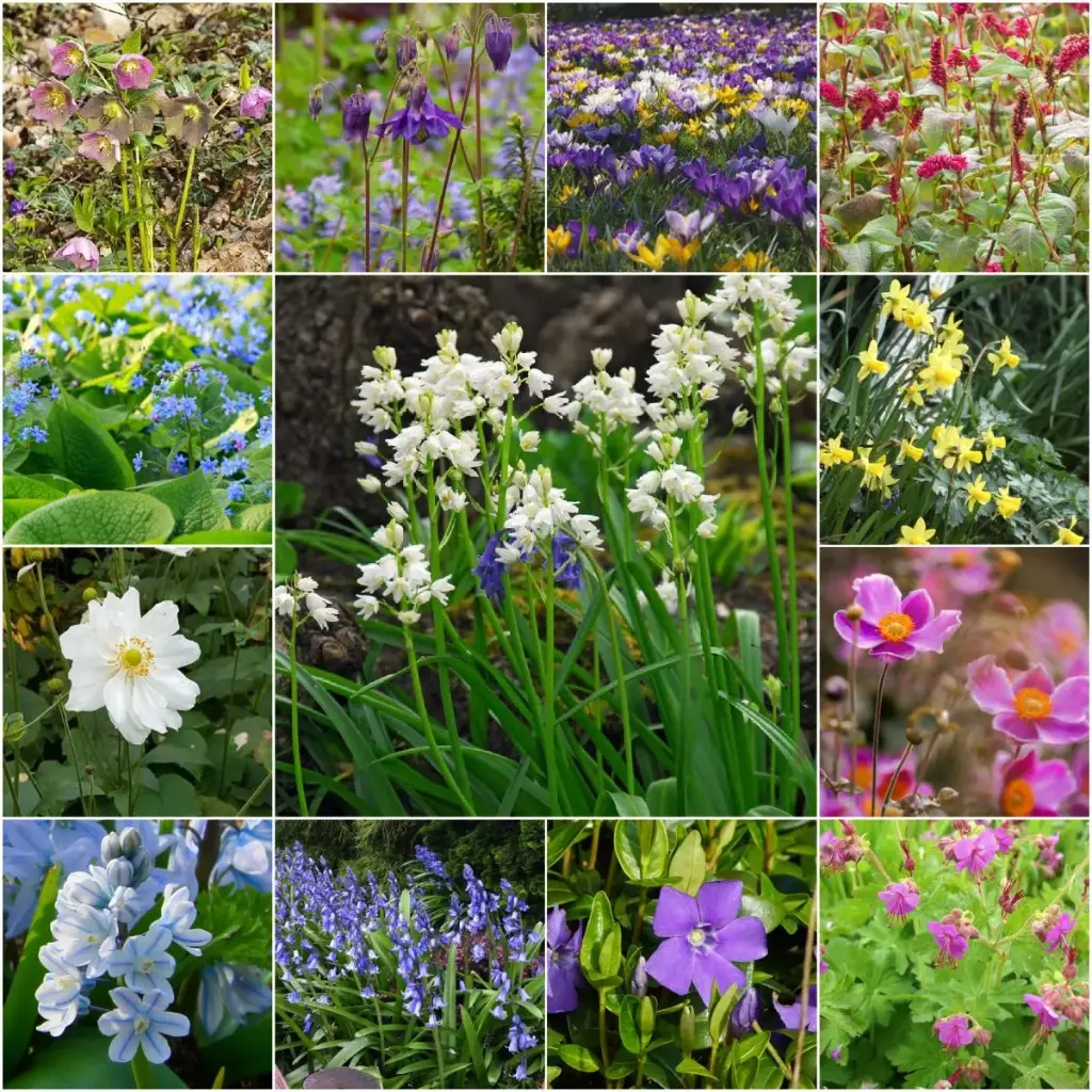 3 Seasons of Flowers – Shade – Organic