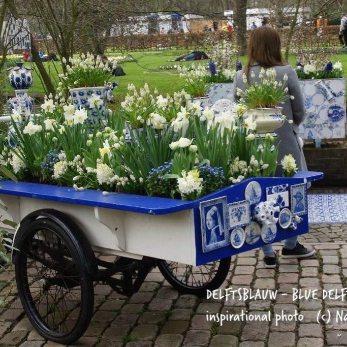 Delft blå trädgård 40 ST - BIO