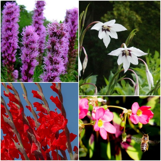 [B9044] Sommarlökblandning för bin 28 ST - BIO