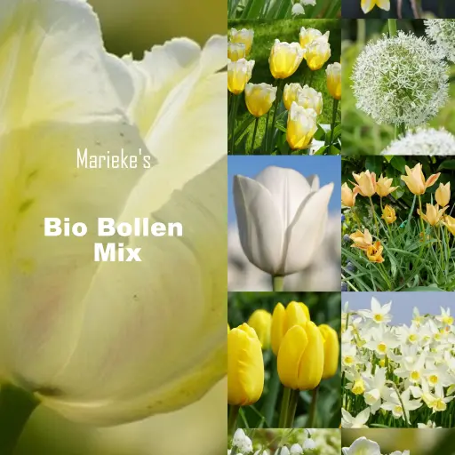 [AC99088] Marieke's Trädgård gul/vit 2 m2 - BIO 