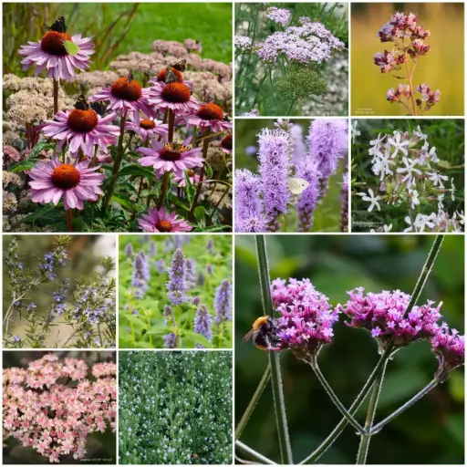 [B7901] Tile Remover Garden Bed Kit Sun 4 m² - ORG