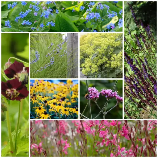 [B8906] Surrande blomsterrabatt - BIO